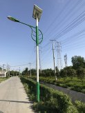 成都市温江区和盛镇太阳能路灯工程